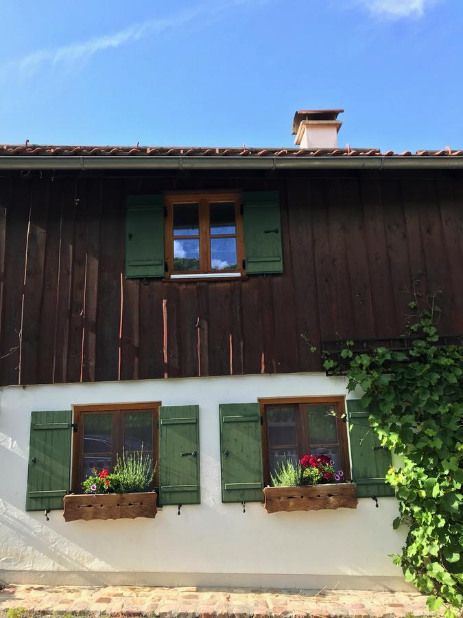 Chalet Alpenrose Schwangau Extérieur photo